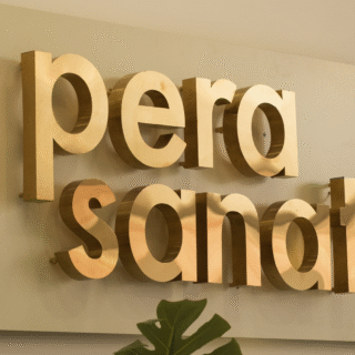 Cem Esen ~ Sarcasm Üzerine Söyleşi