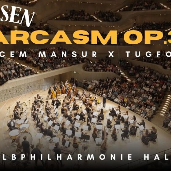 Cem Esen ~ Sarcasm Üzerine Söyleşi