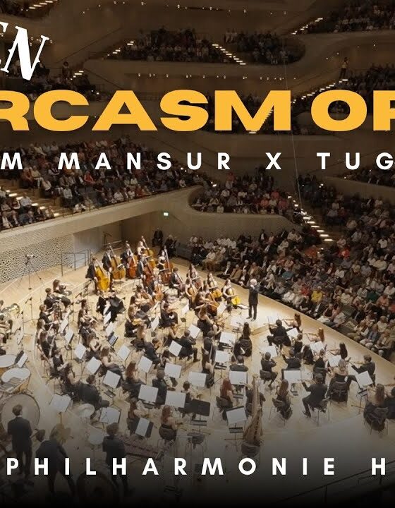 Cem Esen ~ Sarcasm Üzerine Söyleşi