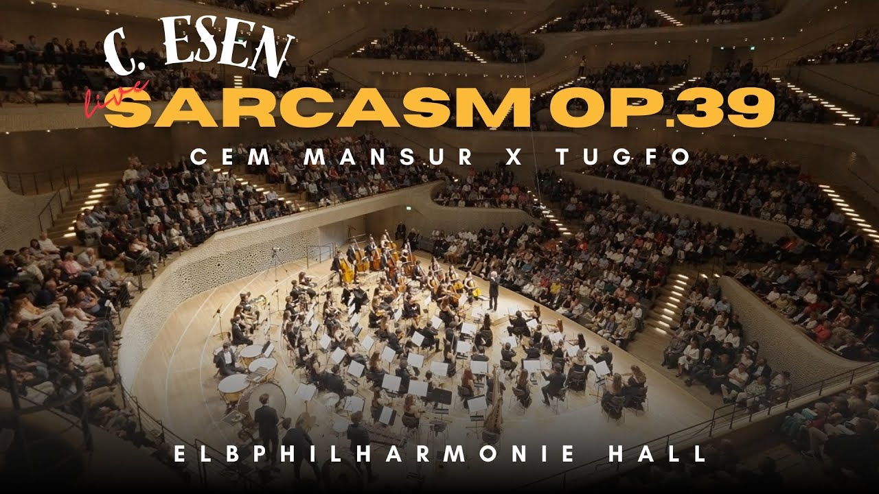 Cem Esen ~ Sarcasm Üzerine Söyleşi